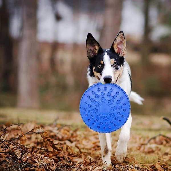 2 stk Hundeskive i Gummi til Store Hunde Blue
