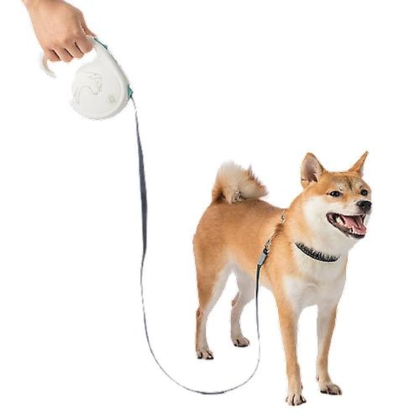 Retractable leash for pets