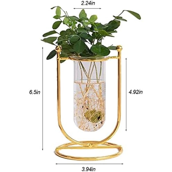 Glass hydroponisk vase glass blomsterpotte med jernramme for kreativ blomsterhjem stue borddekoration (S)