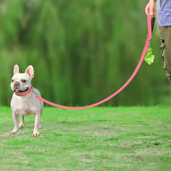Kraftig, Reflekterende Dobbeltsidet Hundesnor med Polstring