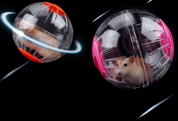 2 stk Blå Hamster Treningskule, Diameter 12cm Plast Trening