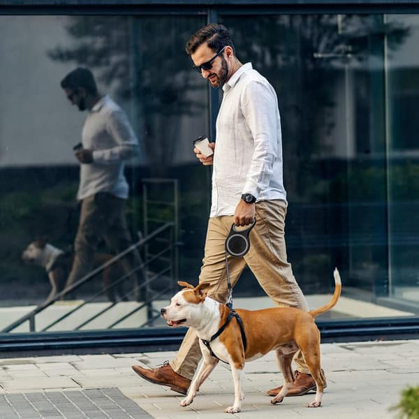 8M lång utdragbar hundkoppel, robust hundkoppel,