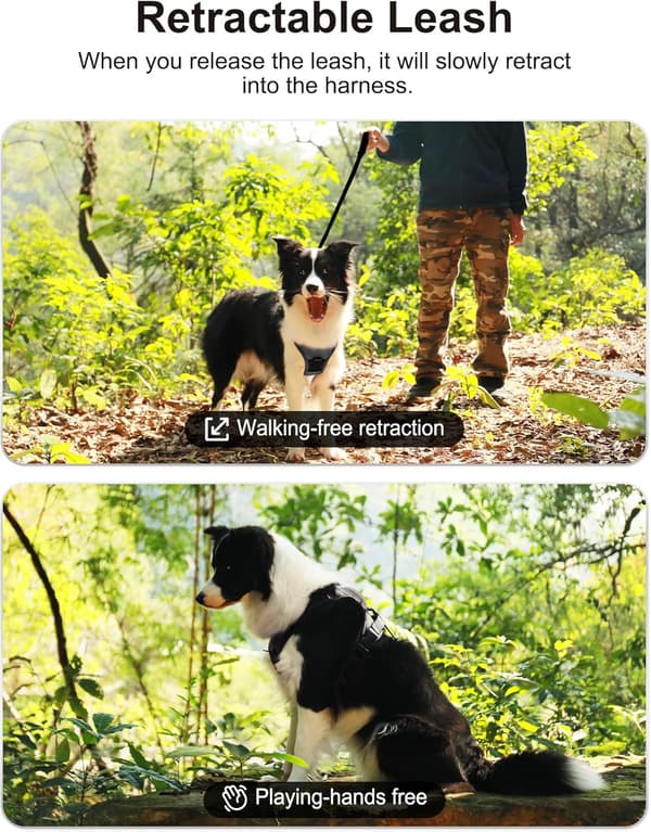 No-Pull Hundesele og Snor - Alt-i-én Hundevestsele