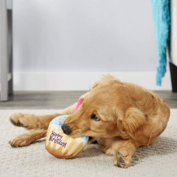 Hund Pipsqueak Kake Leksak, Husdjur Plysch Tugga Kake Leksak, Söt Hund Katt Plysch Dessert Födelsedagspresent - Cupcake