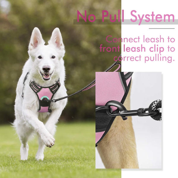Stor Hund No Pull Sele for Hunde med 2 Lineklips