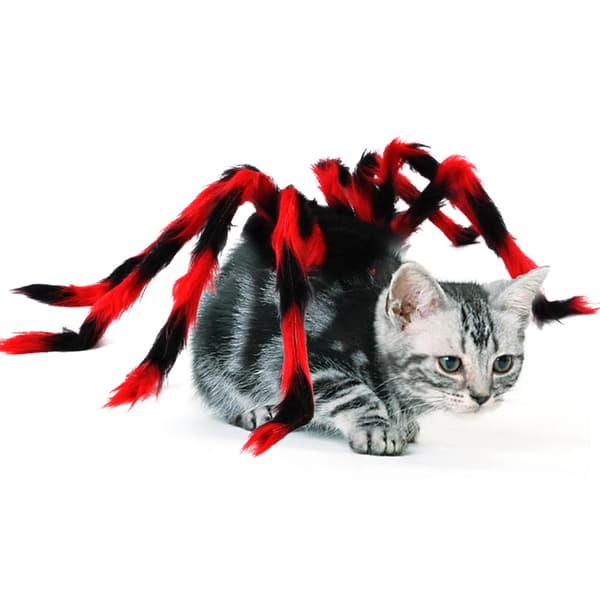 Rød Sort (L) Halloween edderkoppekostume til hund kat, Halloween