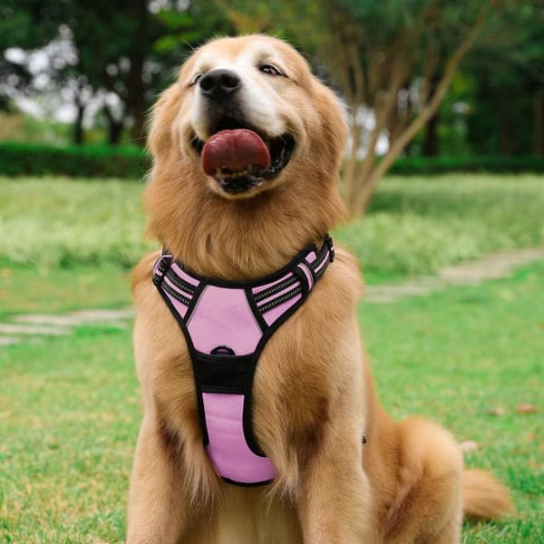 Stor Hund No Pull Sele for Hunde med 2 Lineklips