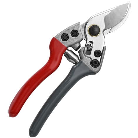 Beskærningssaks med lige blade, Non-stick belagte stålblad