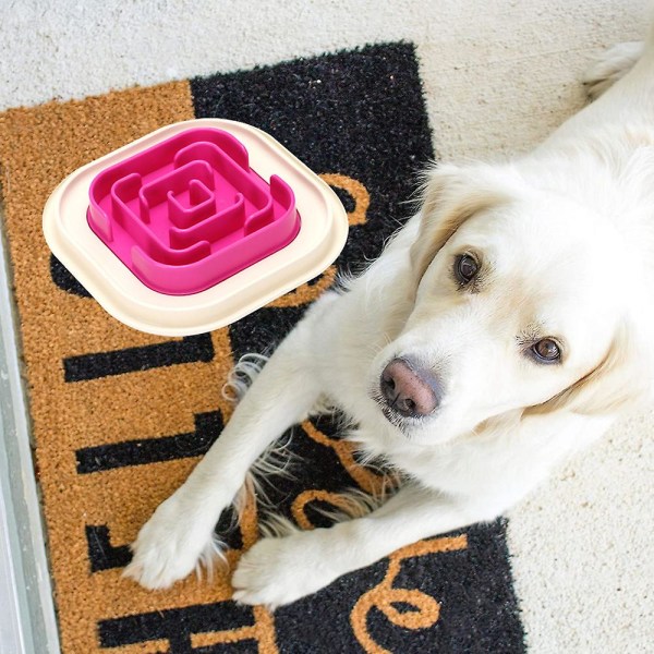 Kjæledyrskål Kjæledyrmatskål Hund Kreativ Sakte Matbolle Anti Kvelning Sakte Matbolle Rose Red Labyrinth