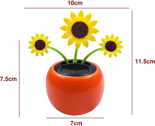 1 solcelledanceblomst, solcelledance solsikke