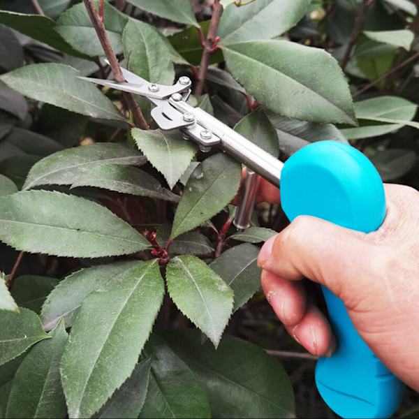Haveknive Nye Blomstergren Haveknive Spidse Frugt Haveknive Beskærere (Klassisk Blå)