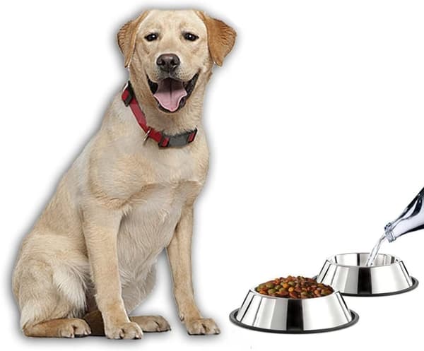 Hundeskål i rustfrit stål med gummibase til små/mellemstore/store hunde, kæledyrsfoder- og vandskål, perfekt valg (2-pak)