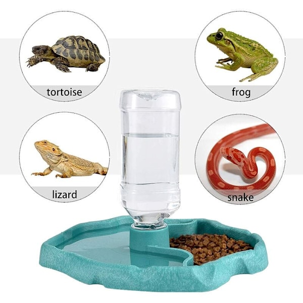 Reptil Vatten Dispenser, 2 i 1 Spill Proof Skål Mat Dispenser, Sköldpadda Gecko Plast Skål - Vit