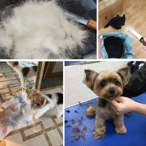 1 profesjonell hundetrådstripper, trådstripper hundeverktøy border