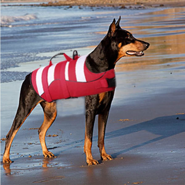 Hunde Redningsveste Justerbar Flydevest til Kæledyr, Kæledyrs Flydevest