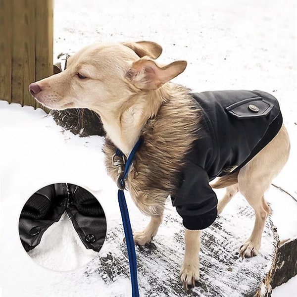 Lemmikkien vaatteet Brittiläinen koiran nahkatakki (musta Xl)
