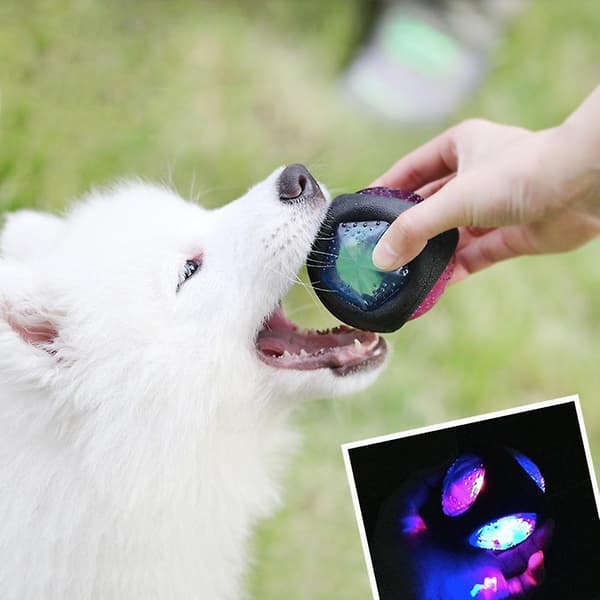 Husdjursleksaker Hundleksak Boll Ljud (Glödande Boll)