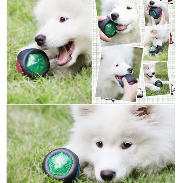 Hunde leketøy ball med lyd (lysende ball)