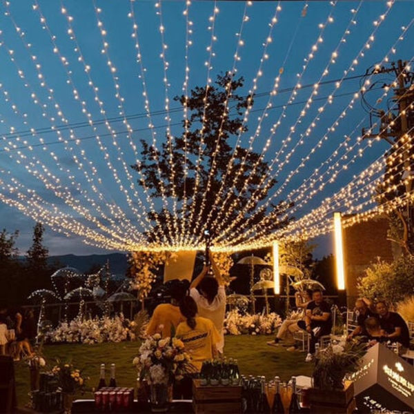 Fairy Lights 100m 1000Led Julgransbelysning Inomhus Julgirlang för Utomhus Trädgård Vattentät