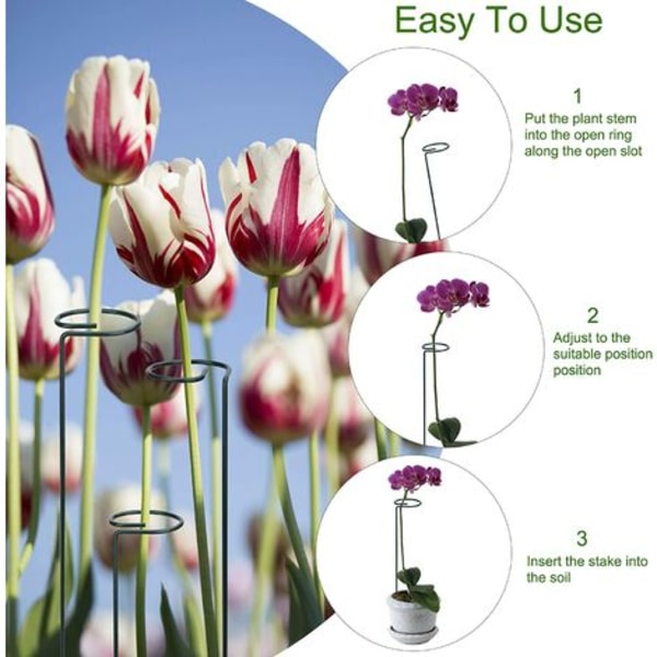Växtstöd i Metallring, 6-pack, 40cm, för Växter, Blommor, Grönsaker