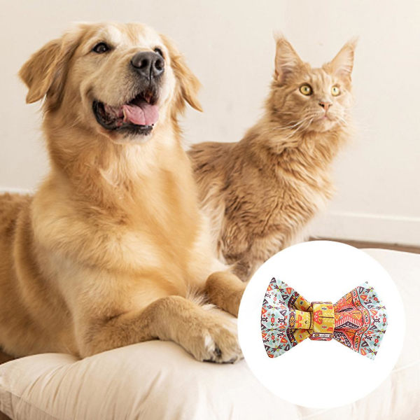 Husdjursprodukter, (kalejdoskop diamant) katthalsband, hundhalsband, kattkoppel, katt, kattunge