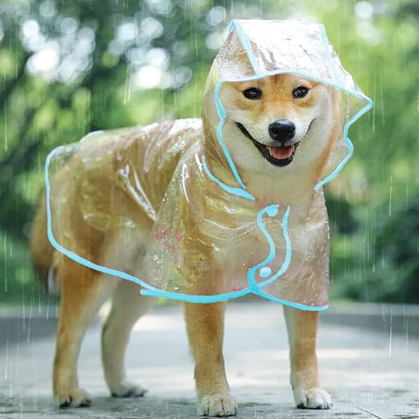 1 koiran ponchokaappi läpinäkyvällä hupulla, säädettävissä ja helppo pukea
