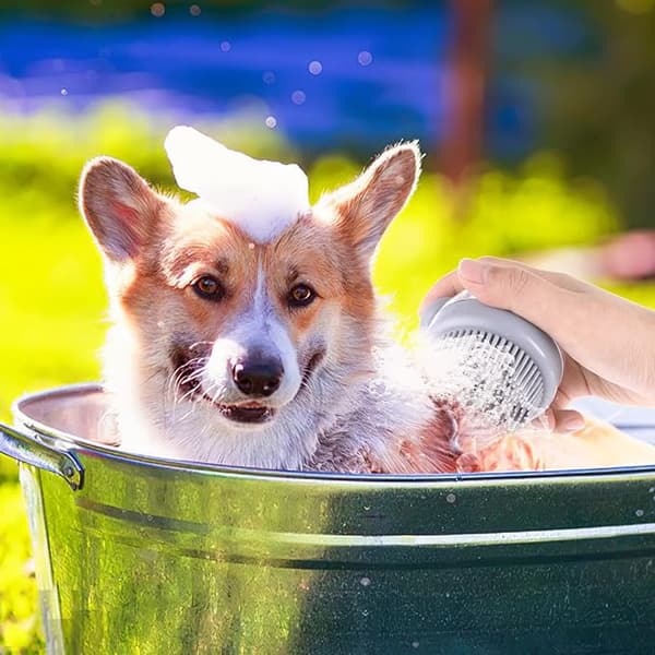 1 grå katte- og hundeshampoobørste, silikone hundebadebørste