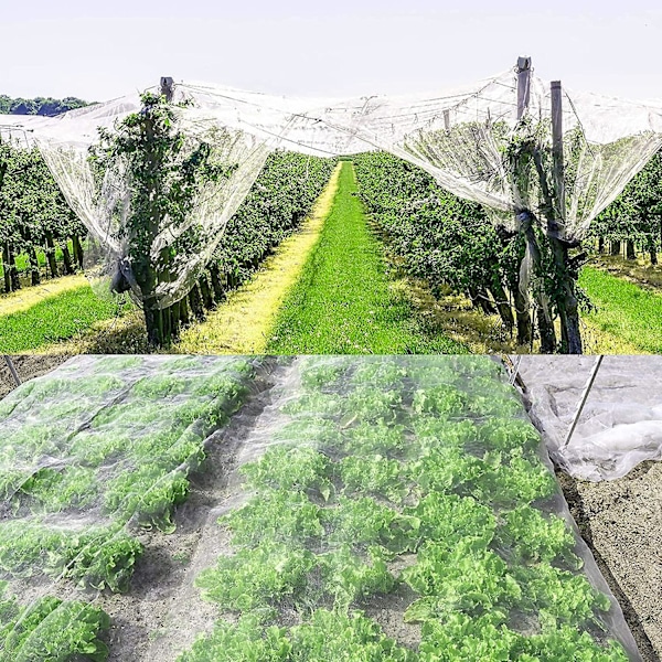 Grøntsagsbeskyttelsesnet, 6x2,5m Mesh Anti-insekt Net, Insektbeskyttelse Have Med Nål Fikseringsstænger, Til Beskyttelse Af Planter Frugt Blomster Afgrøder Eller