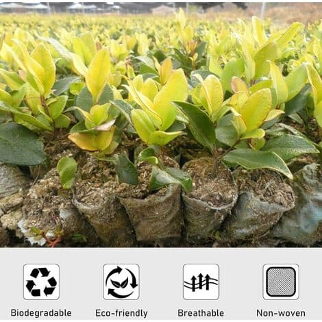 Planteringsväskor Trädgårdsplanteringsväskor Biologiskt nedbrytbara Plantväskor Uppfödningsväskor 8*10cm 200st Vita