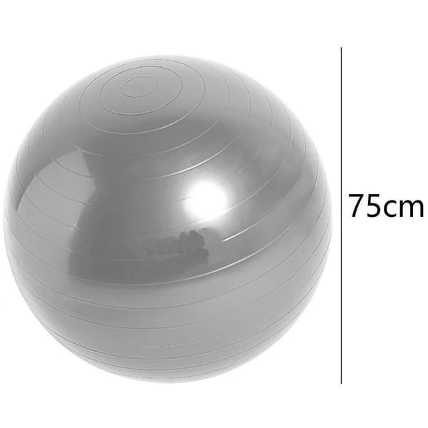 Balansboll, Yogaboll med Pump Grey 75Cm