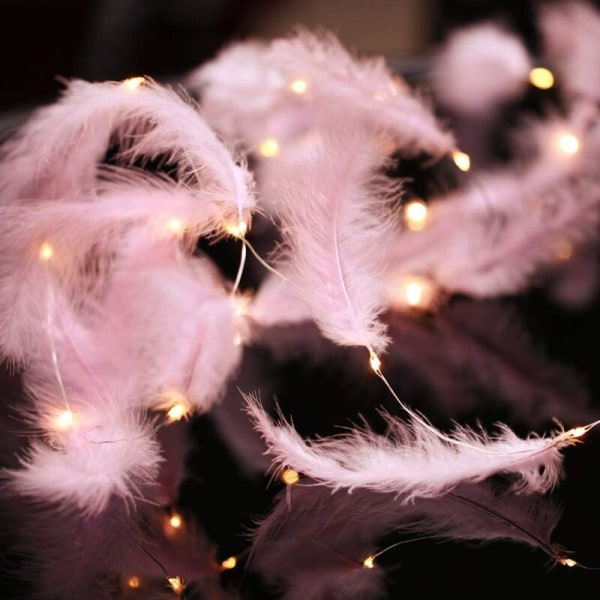 300 LED Rose Feather Fairy String Lights med 8 Lysmoduser Fjernkontroll Romantisk Vegg Gardin Dekorasjon for Bryllup