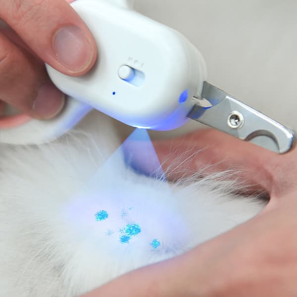 claws & tails Koirien ja kissojen kynsileikkurit, LED- ja UV-valolla