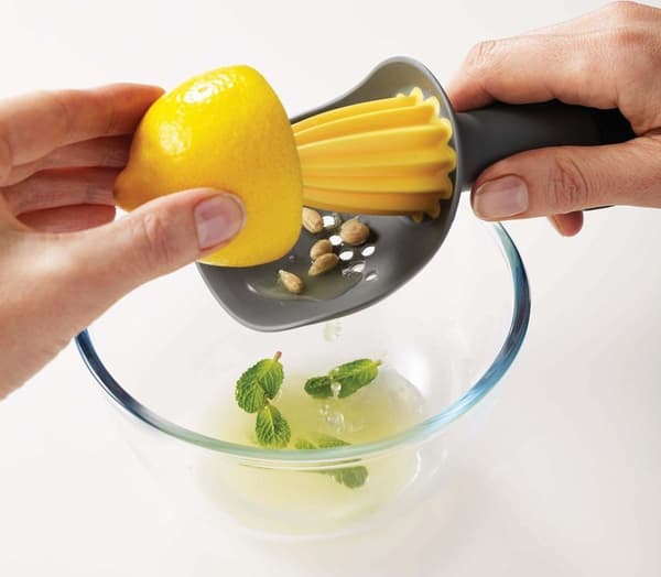 1 juicer med lærskål