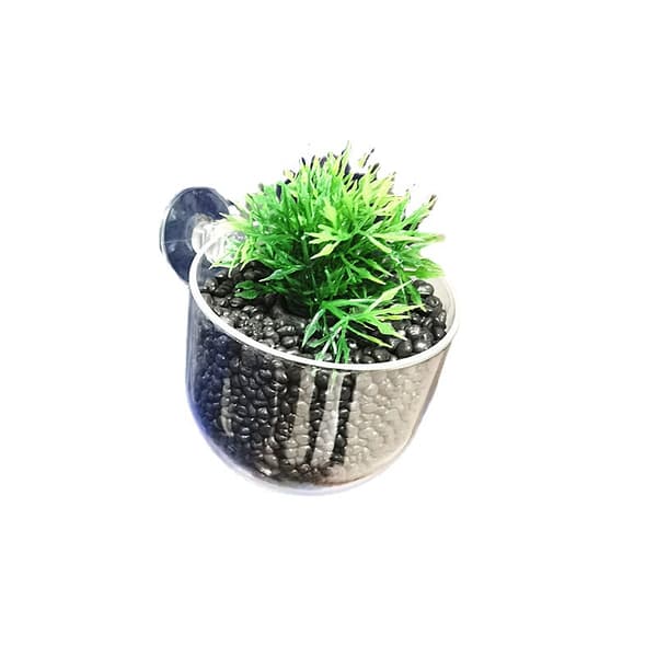 Förpackning med 1 Akvarium Glas Koppar Krukor, Akvarium Växthållare Kopp