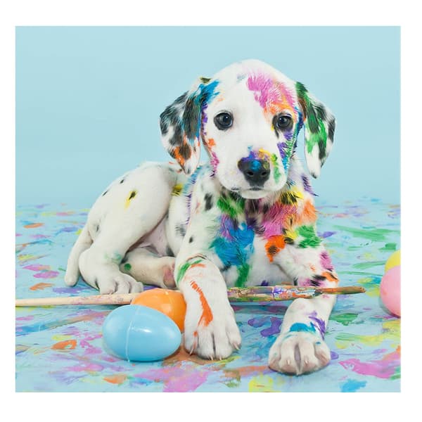DIY 5D Animerade Diamantmålning Kit, Hunden Målning efter Siffror