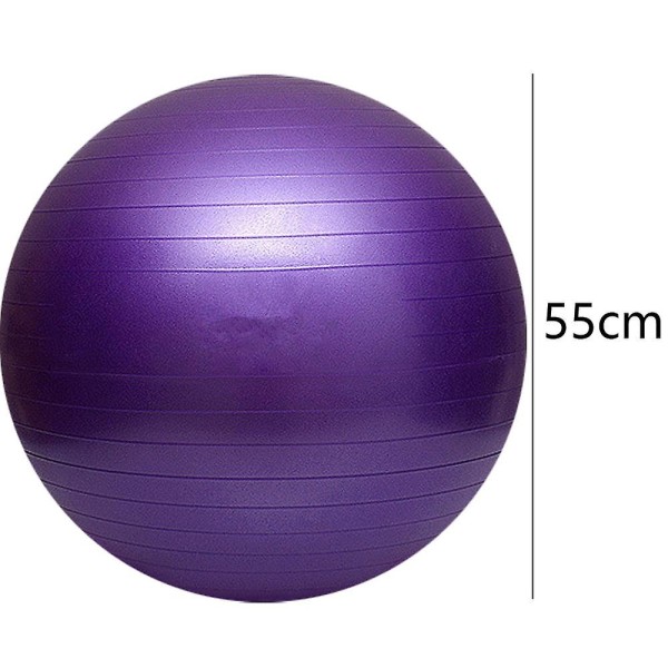 Balansboll, Yogaboll med Pump Purple 55Cm