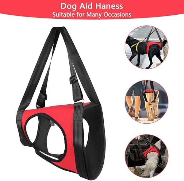 S Magomkrets 48cm, Husdjursväst, Hundsele för stöd
