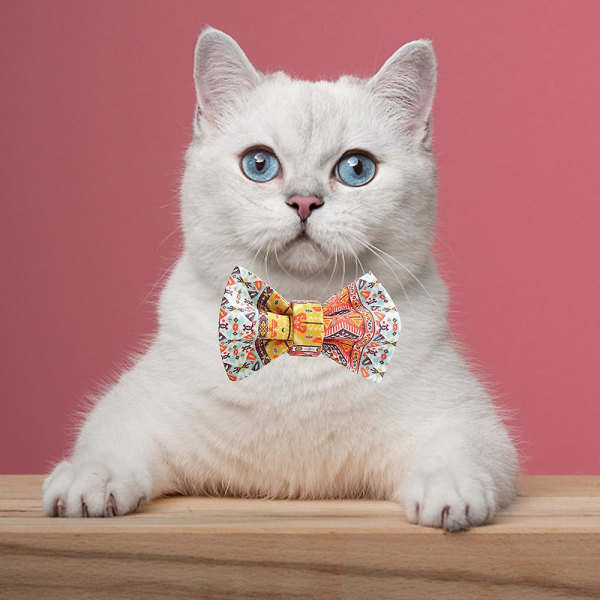 Husdjursprodukter, (kalejdoskop diamant) katthalsband, hundhalsband, kattkoppel, katt, kattunge