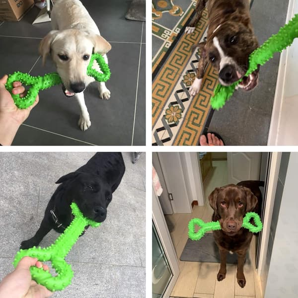 Hundtuggleksaker Resistent Gummi 13 tum Benformad Hundleksak
