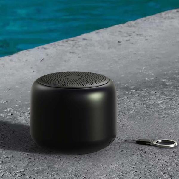 Svart bärbar trådlös Bluetooth-högtalare black