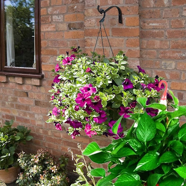 Väggmonterad växtkrok, växtkrok, 2 svarta väggkrokar, lämplig för inomhus och parker, hängande blomkrukor, lyktor