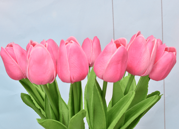 Imitation tulpanblomma full pulver 10 st