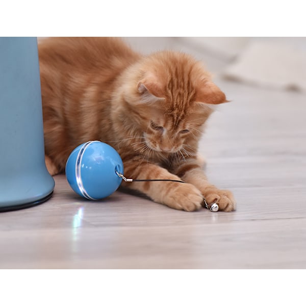 Elektrisk Katt Leksak LED Laser Rolig Katt Boll, Rolig Katt Stick Fjäder USB Laddning Rolig Katt Leksak (Rosa)