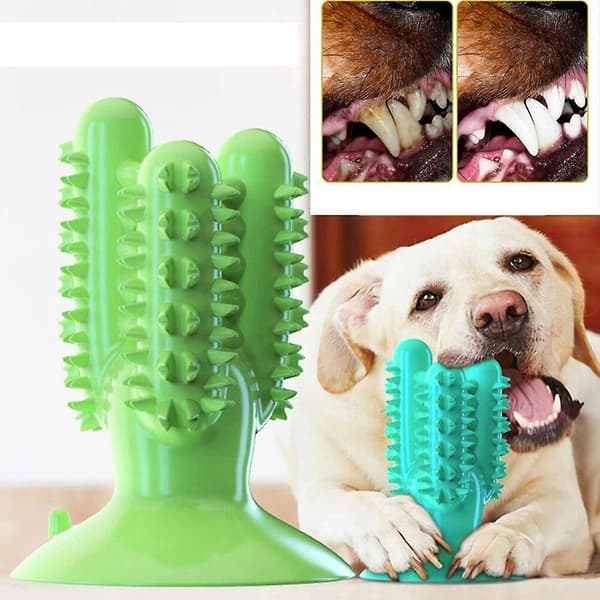 Kæledyrslegetøj Molar Teeth Stick (Gul Kaktus)