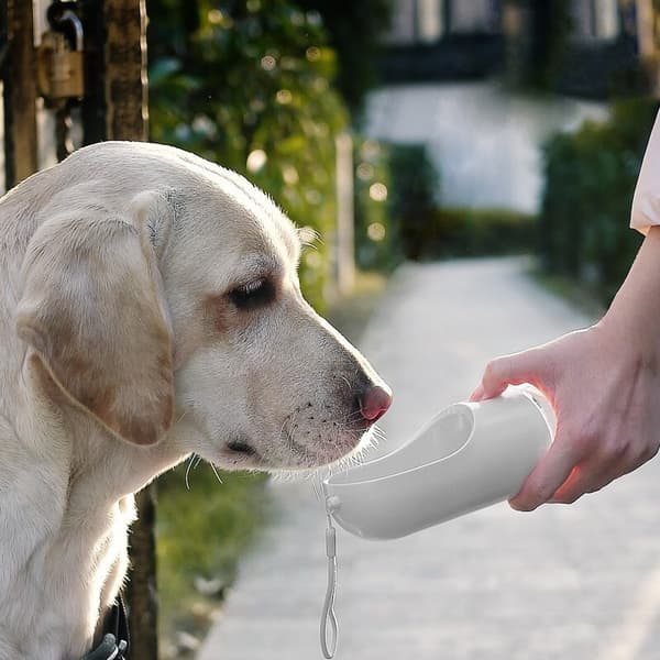 Vanndispenser, 400 ml (hvit) Reisesett for hunder