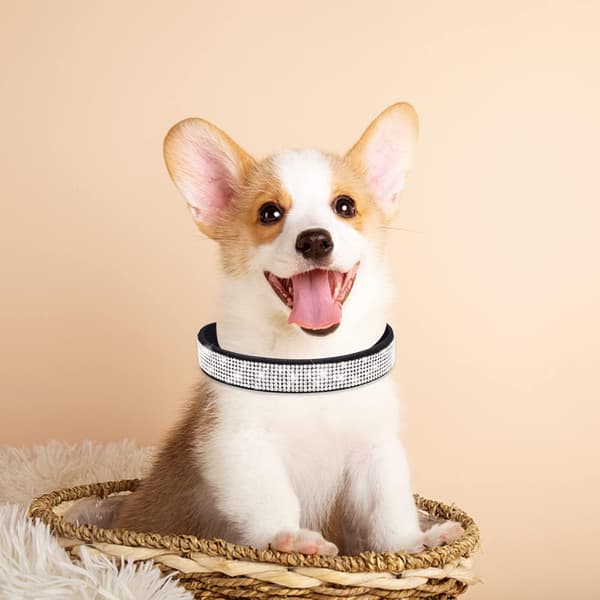 1 st. Hundkrage med strass, mjukt läder