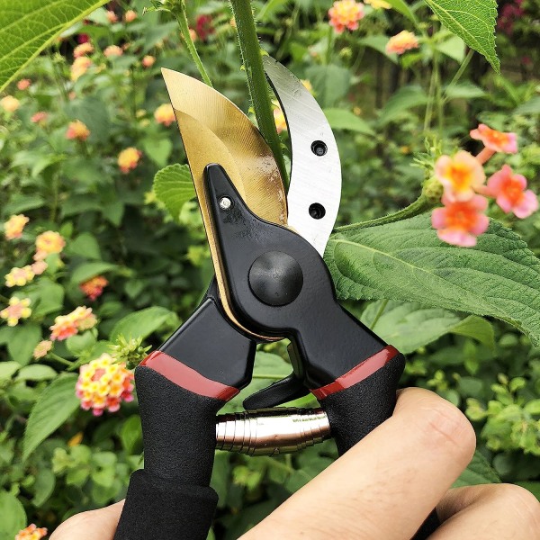 Hagesaks med rett blad i stål og titan - Blomstersaks Bypass-kutting av tørt tre - Ergonomiske håndtak,