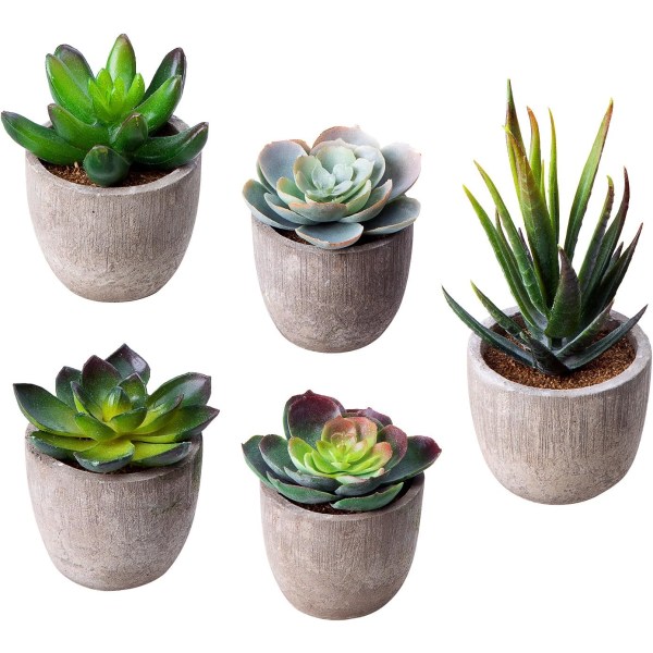 Artificial Succulents, Various Decorative Artificial Succulents, Artificial Cocoa Cactus, Gray Flower Pots (choose 2 of 5 pots (ES0852 Eagle Claw Aloe