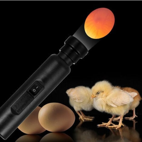Led Light Egg Candler Tester, inkubatorlager exklusiv power