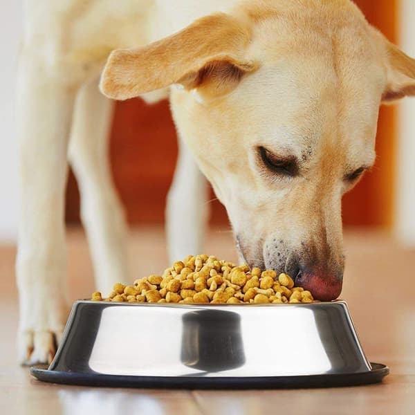 Hundeskål i rustfrit stål med gummibase til små/mellemstore/store hunde, kæledyrsfoder- og vandskål, perfekt valg (2-pak)
